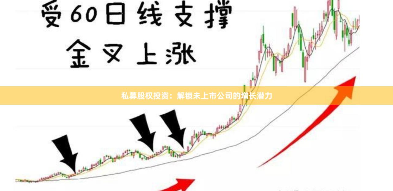 私募股权投资：解锁未上市公司的增长潜力