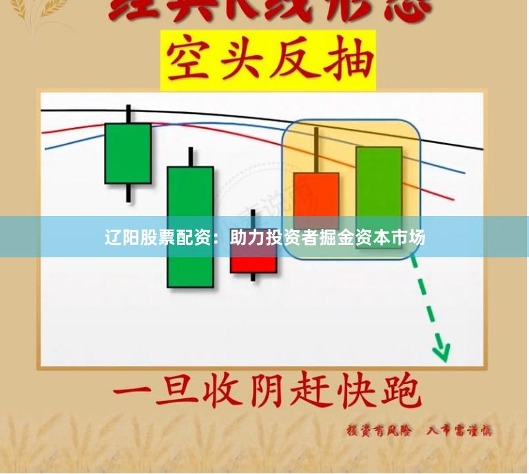 辽阳股票配资：助力投资者掘金资本市场
