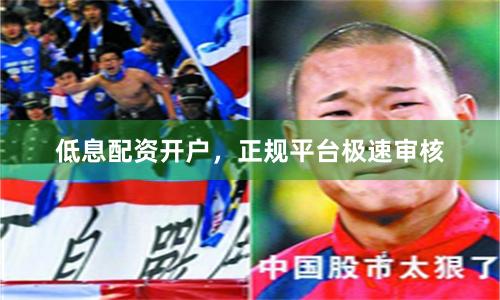 低息配资开户，正规平台极速审核