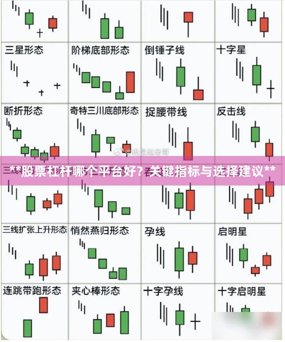 **股票杠杆哪个平台好？关键指标与选择建议**