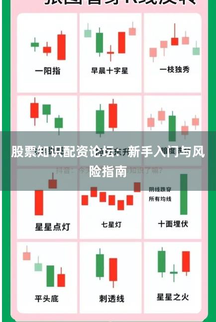股票知识配资论坛：新手入门与风险指南